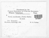 Image Associated With the Occurence